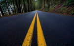 森林公路