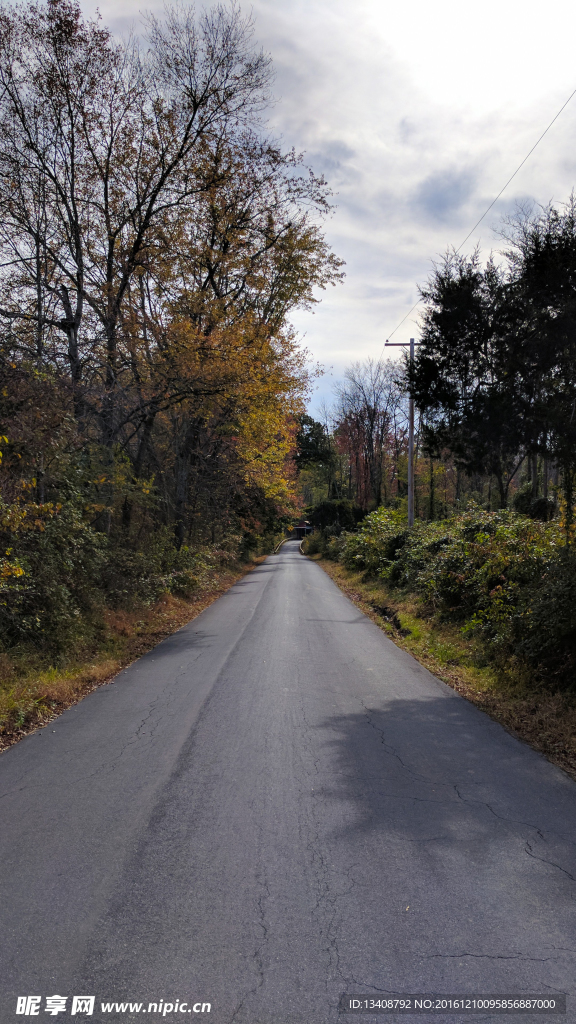 森林公路