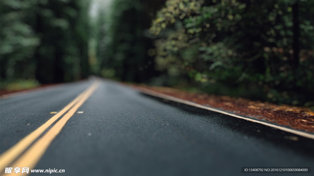 森林公路