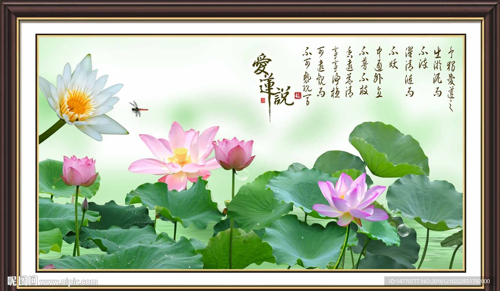 荷花图