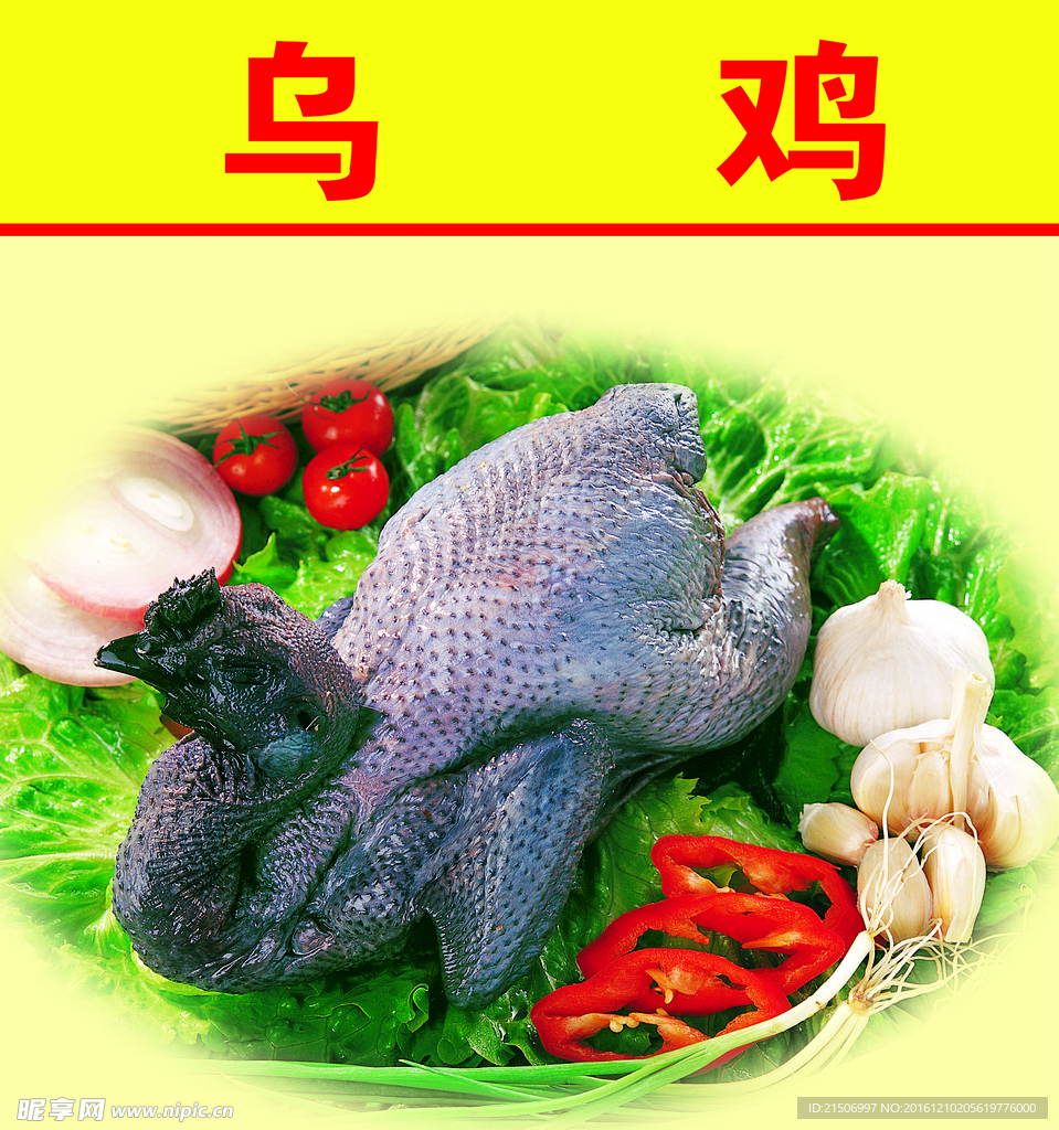 乌鸡