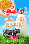 纯乳蛋糕