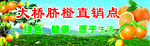 脐橙门头