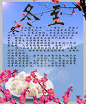 冬至 水饺 免费 素材