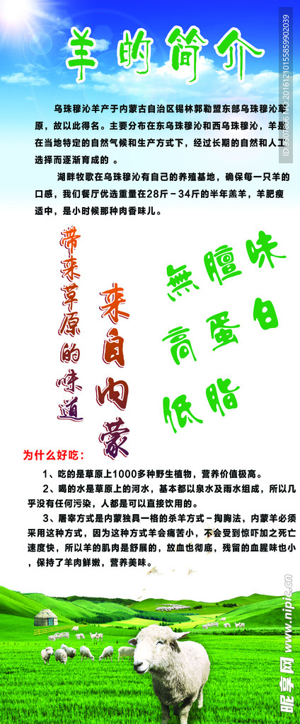 羊的简介
