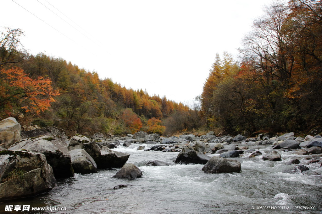 山水