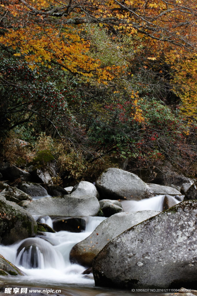 山水