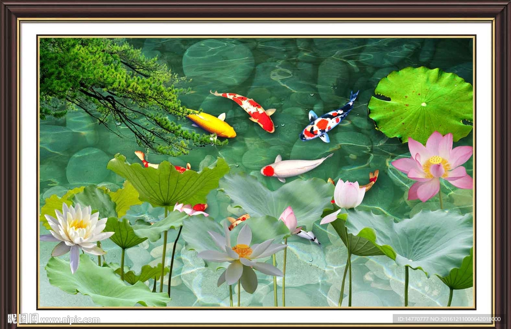 荷花九鱼图