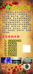 龟邻居 展架
