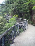 栈道
