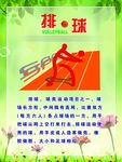 运动简介