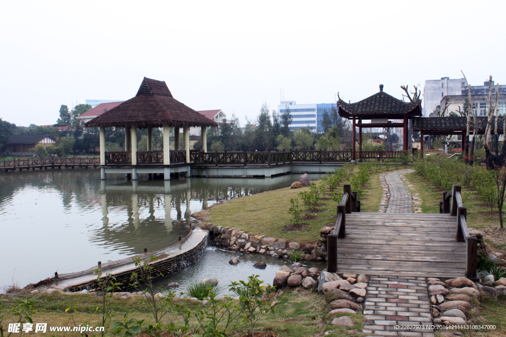 学校公园风景