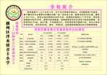 学校宣传彩页