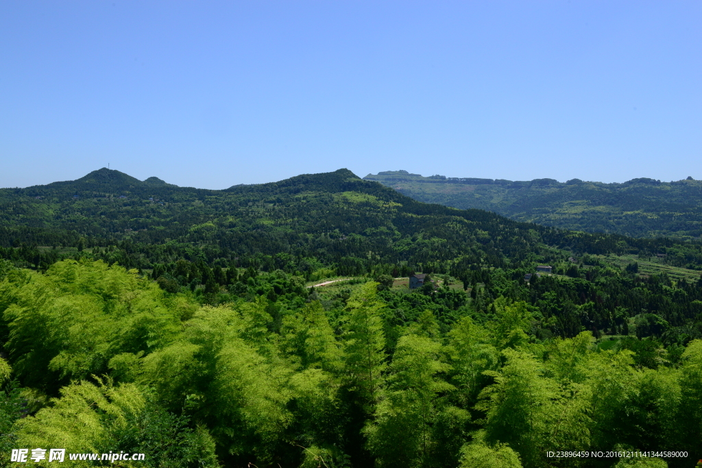 绿山 绿化  高山  树木