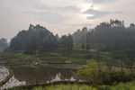 秀地田野
