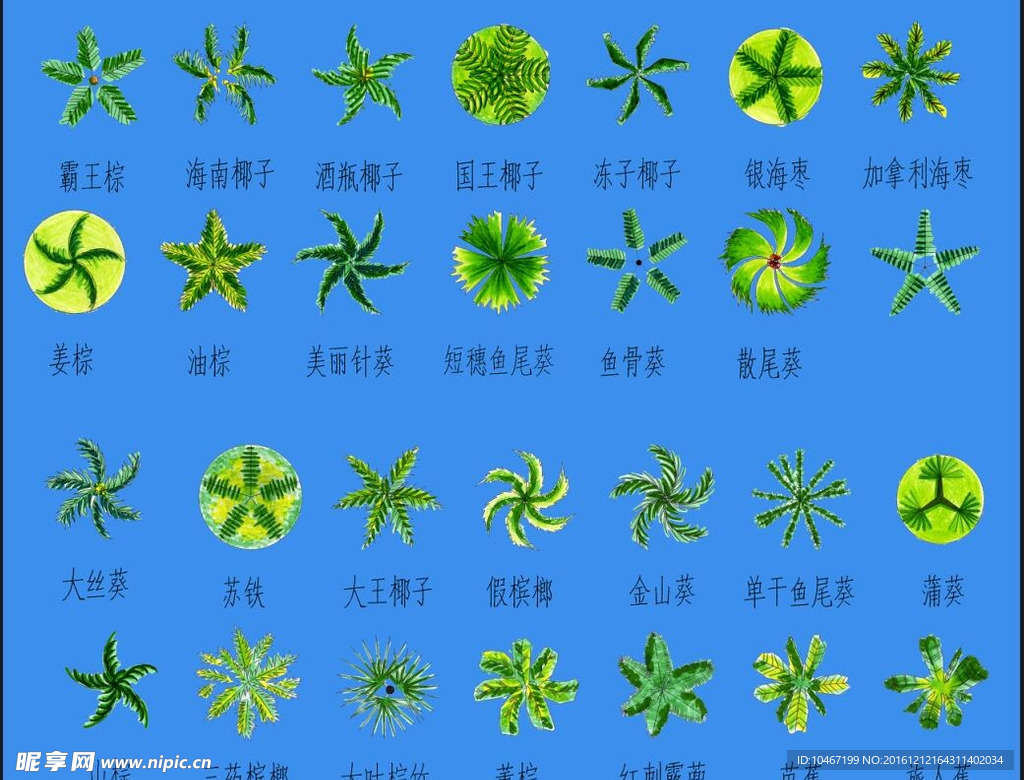 绿化 平面 图例