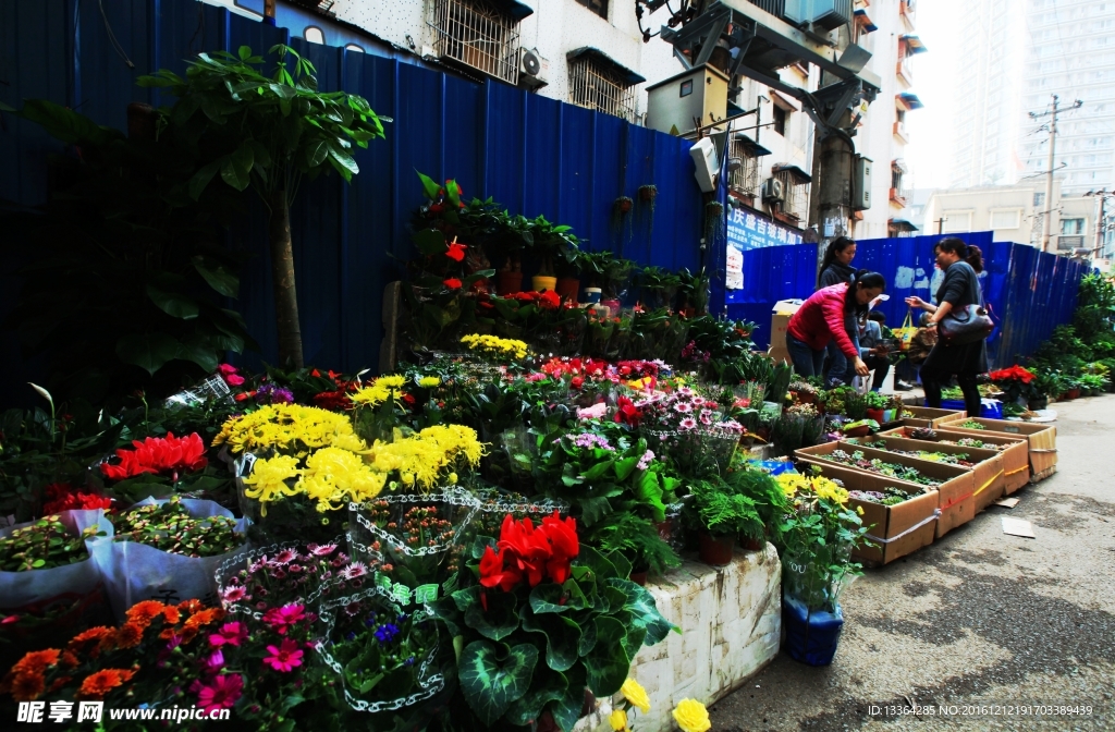 花市