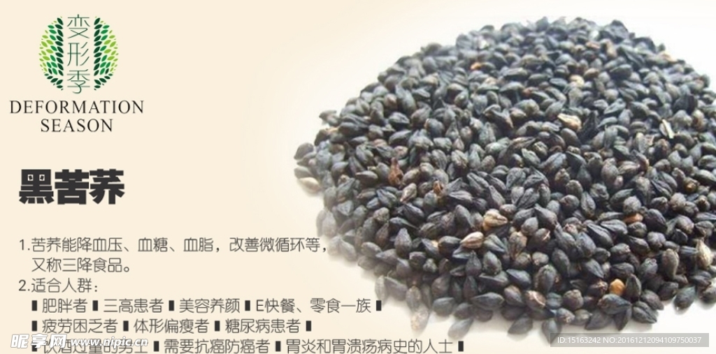 黑苦荞