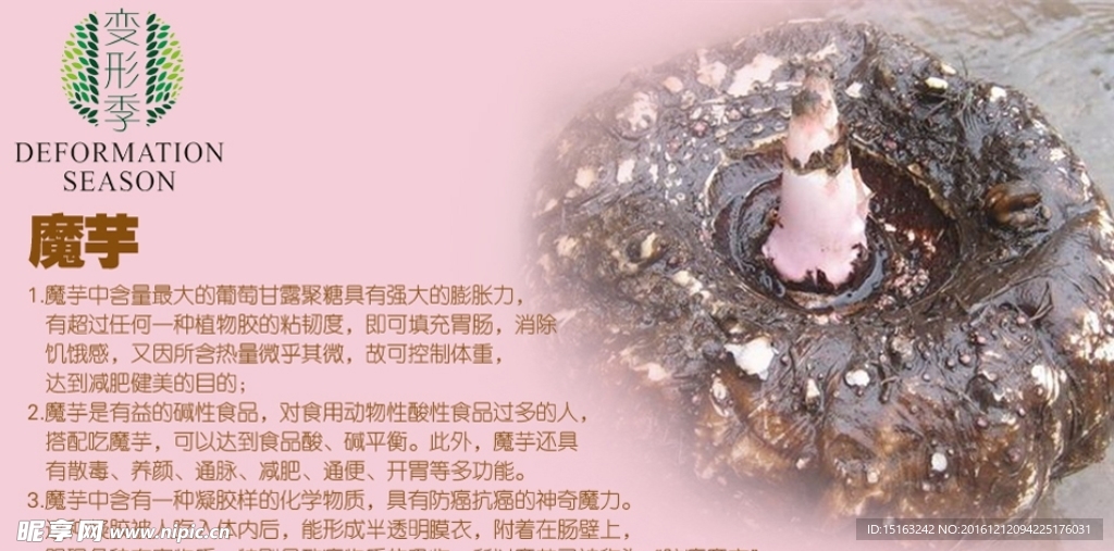 魔芋