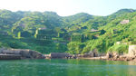 浙江枸杞岛