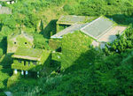 枸杞岛