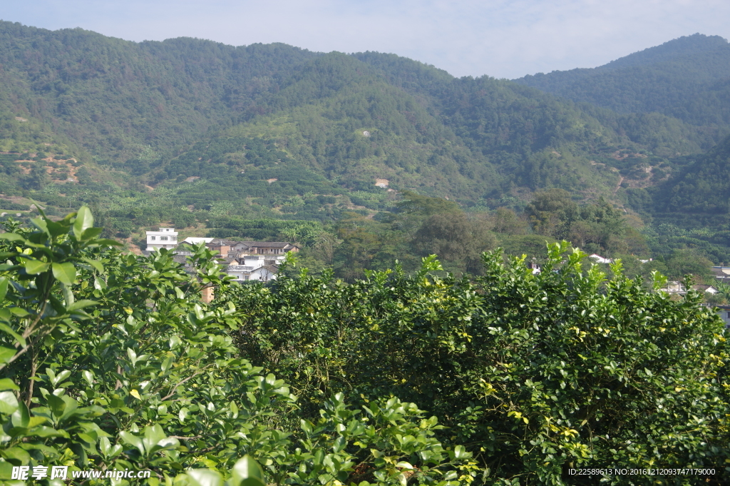 山中民居