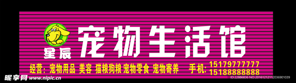 宠物生活馆广告字招牌