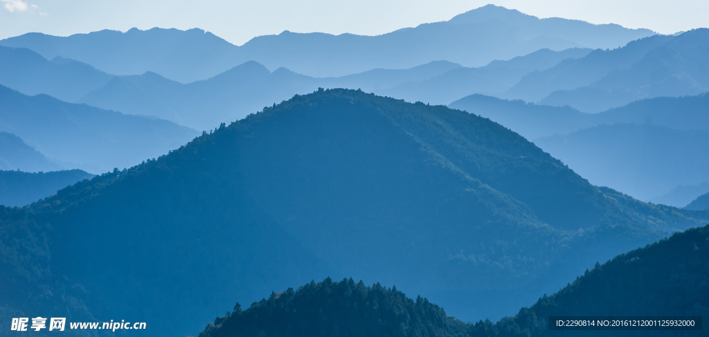 山