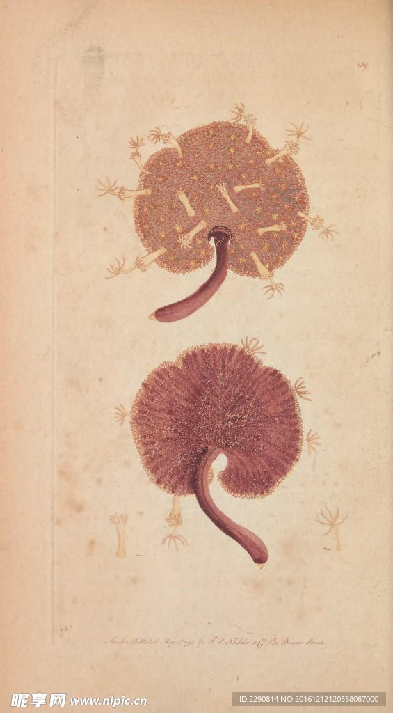 水彩画