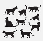 宠物猫剪影