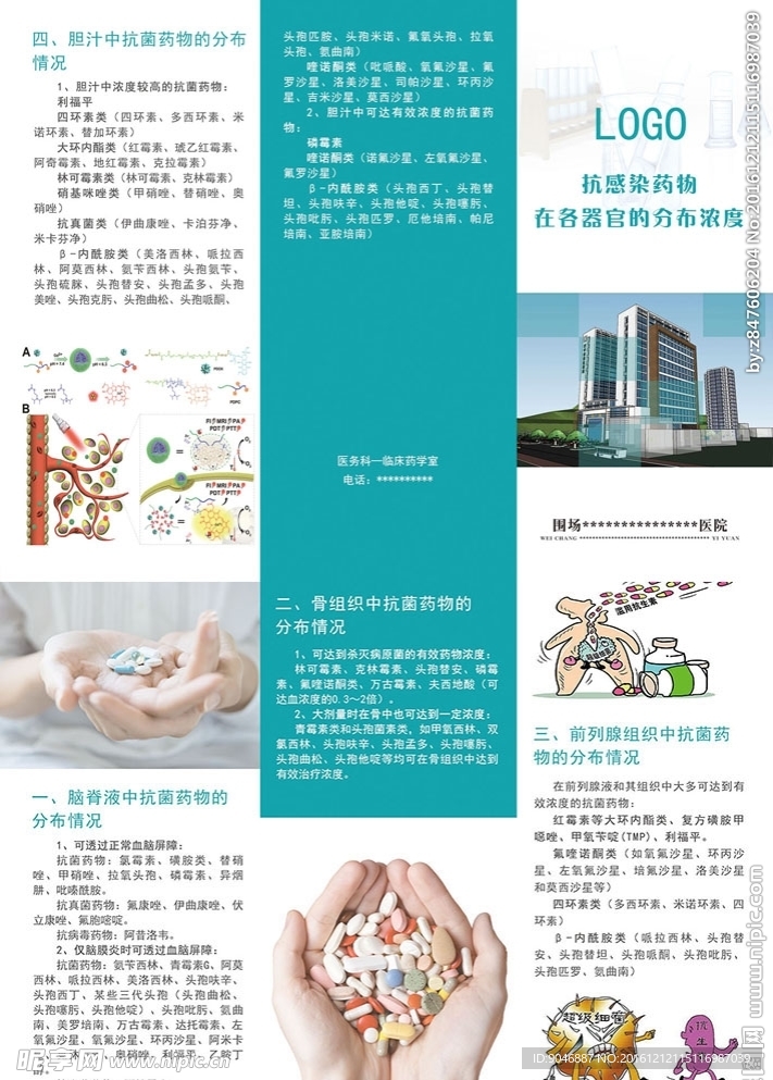 抗感染药物在各器官的分布浓度