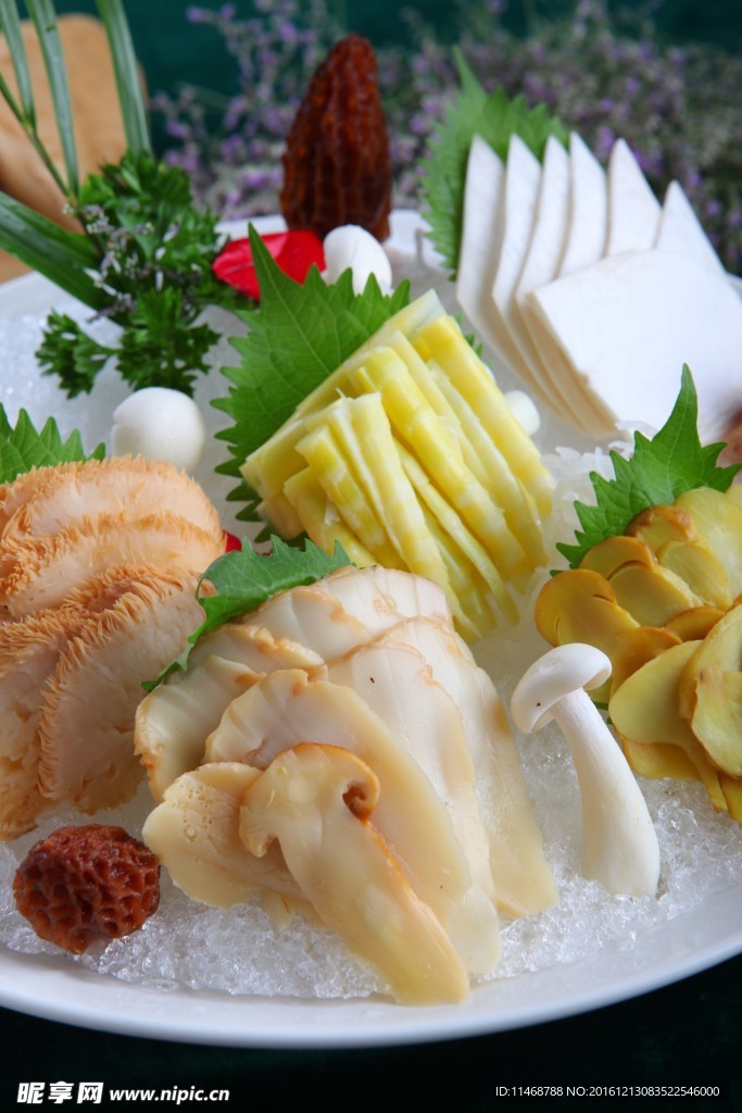 蘑菇菌类拼