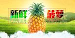 水果海报