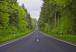 林间的柏油道路