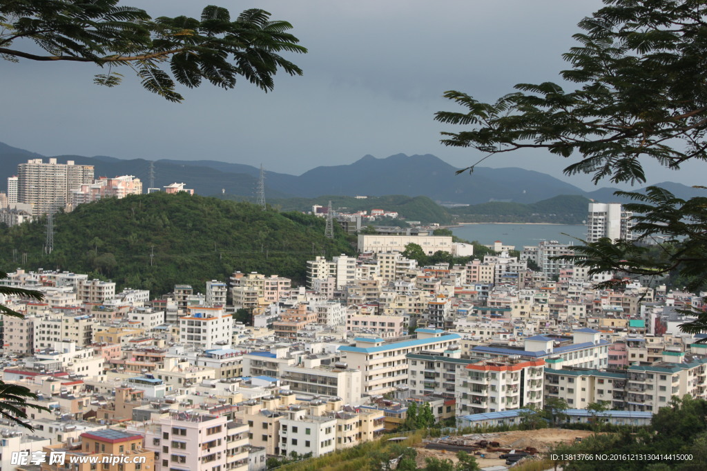 海湾城市