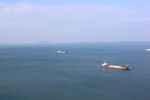 海