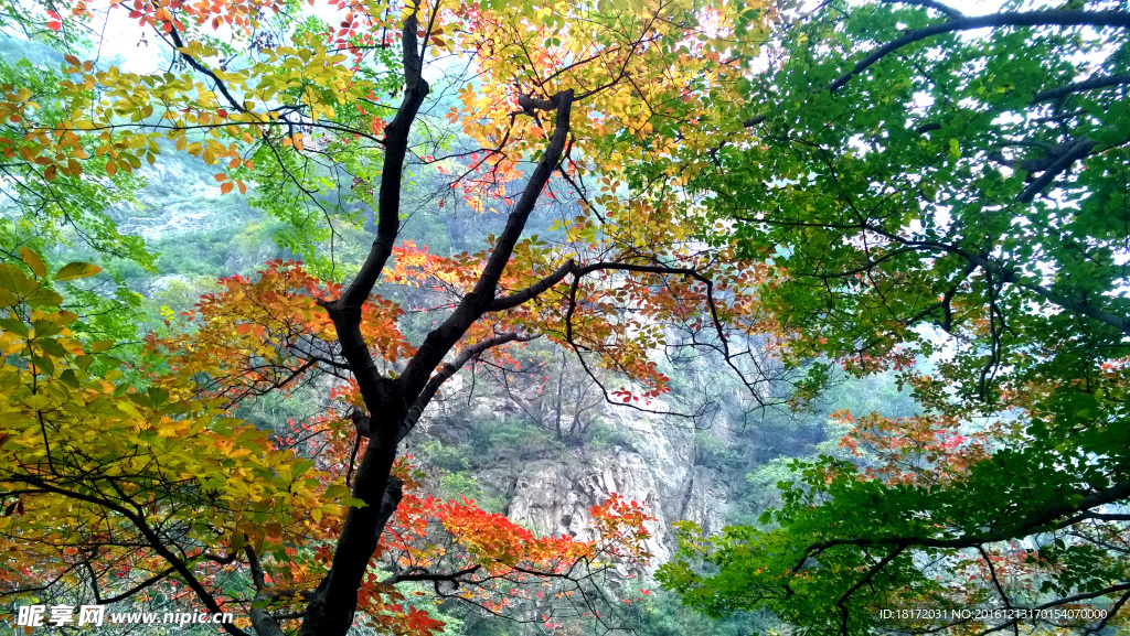 自然风景