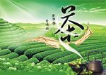 茶叶包装盒设计图