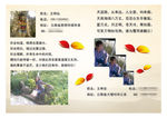 毕业纪念册