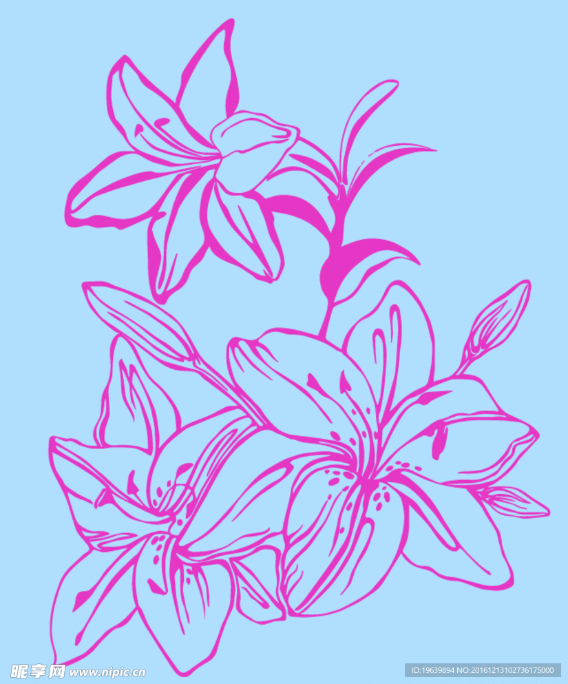 百合花