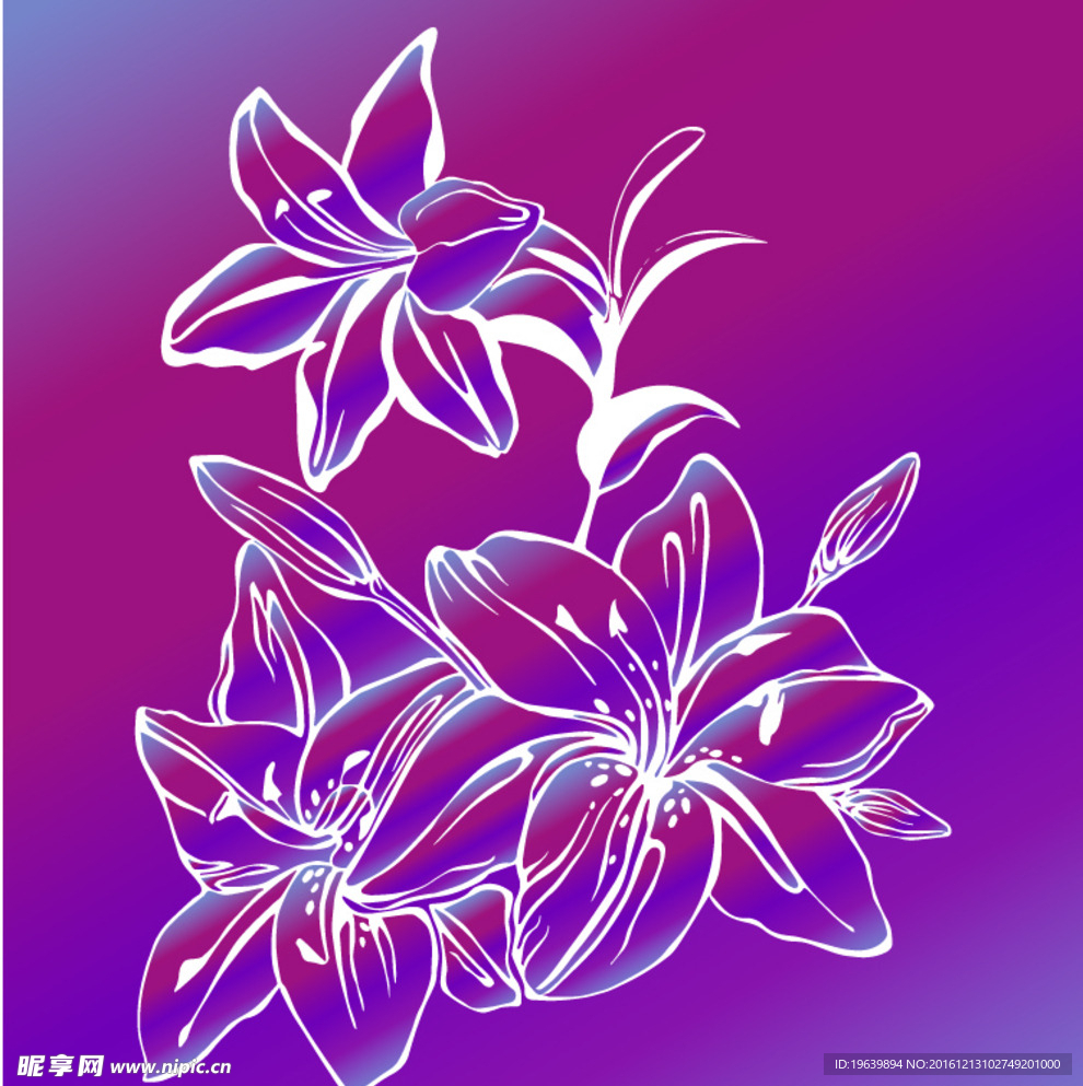 盛开的花朵