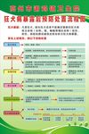 狂犬病暴露后预防处置流程图