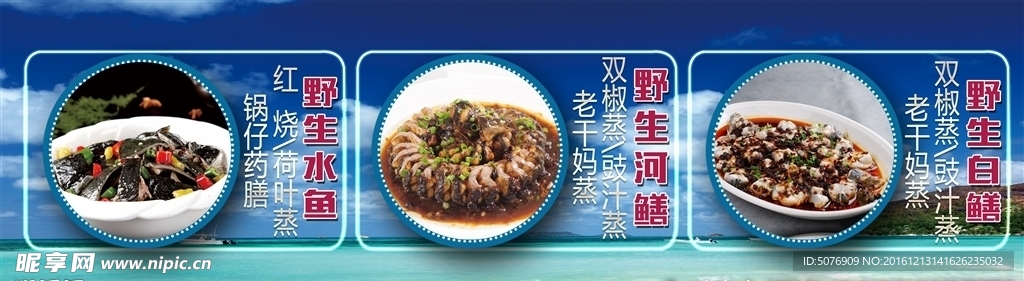 生猛海鲜