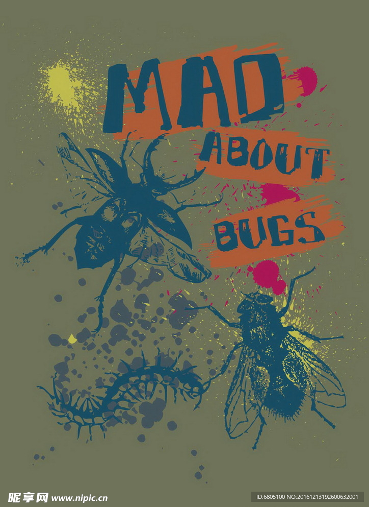 昆虫海报