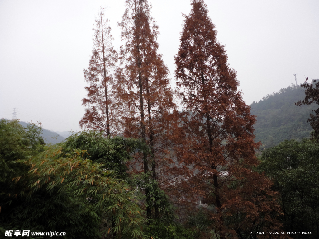 三游洞风景