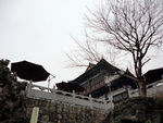 三游洞风景