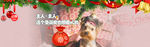 元旦banner