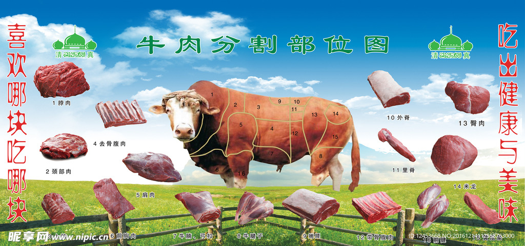 牛肉分割图