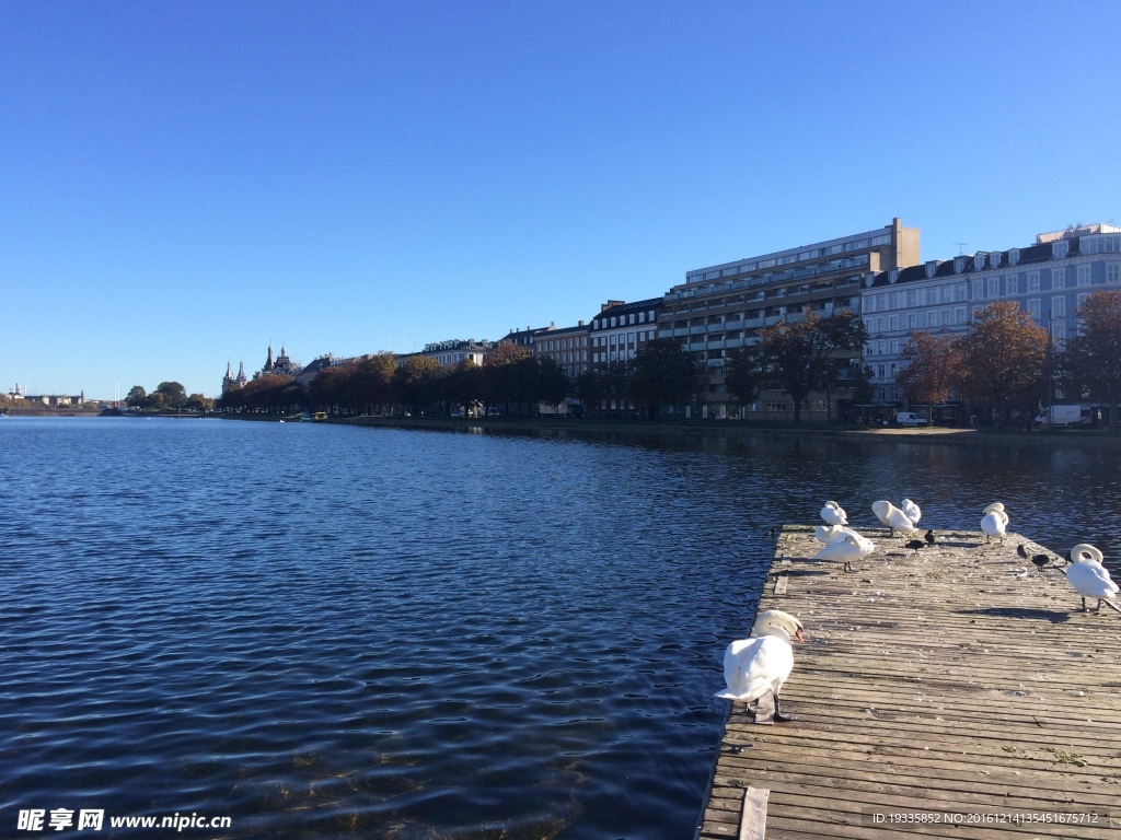 哥本哈根城市中的湖泊