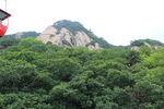 山林景色